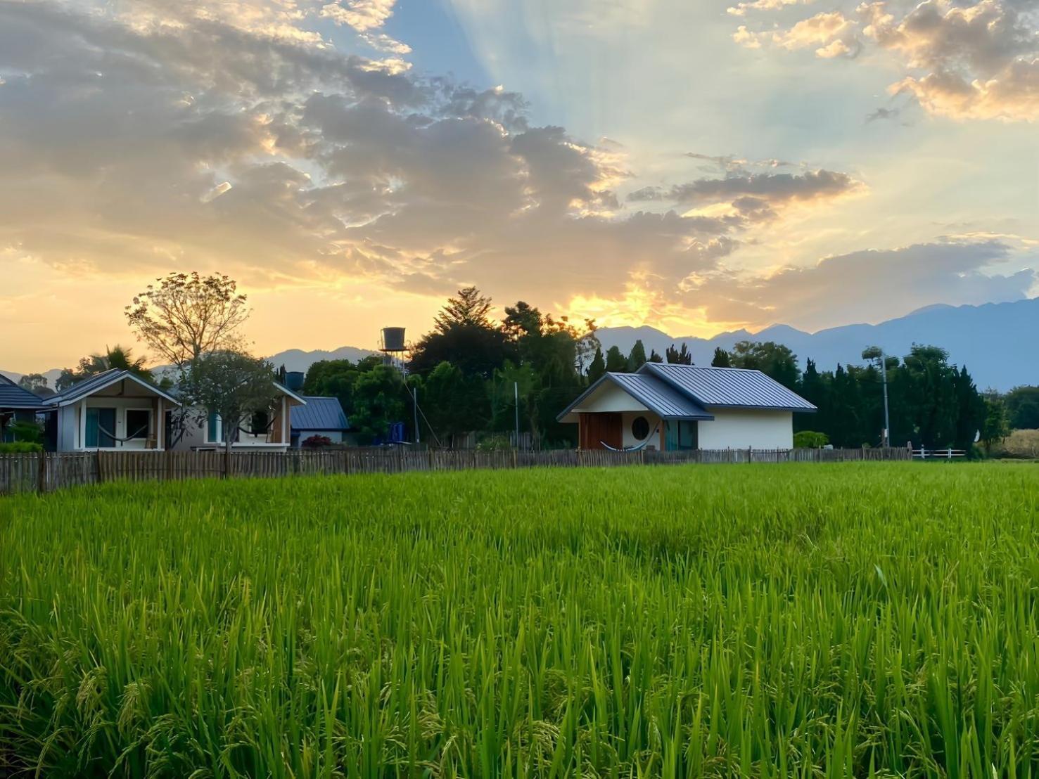 派纳瑙住宿加早餐旅馆 拜县 外观 照片